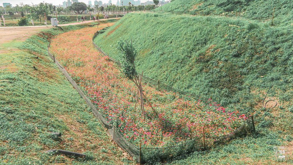 台中中央公園 景點介紹、 12感官體驗區 完整攻略懶人包，整