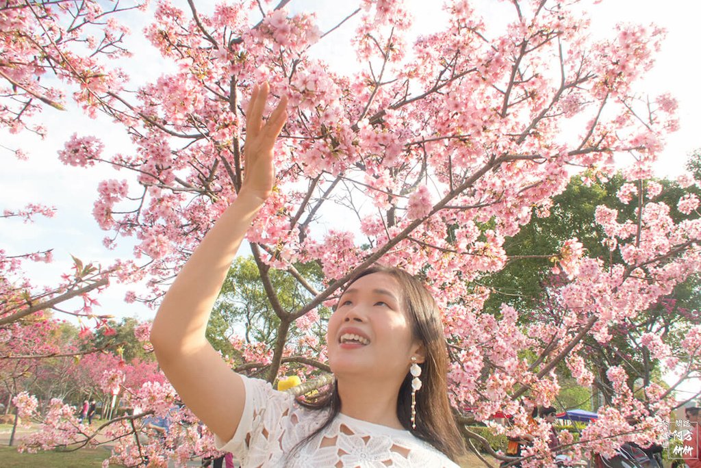 02-【台中后里區】中科崴立櫻花公園，超美櫻花雪│櫻花、李花、杏花3個願望一次滿足，分享拍攝小技巧│跟著方竹去旅行.jpg
