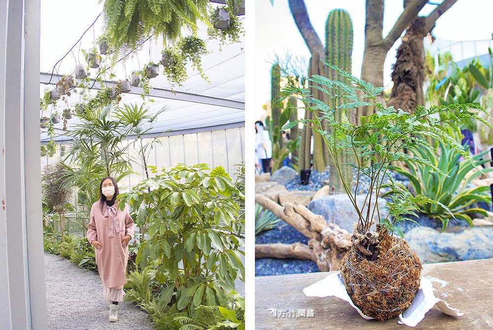 28台中景點台中美食PARK2草悟廣場草悟道草木森花之市台中勤美靄林鬆餅正面吐司新村站著吃烤肉新村站著吃烤肉台中sunday in the park鬼滅之刃快閃店方竹問路阿方竹竹小夫妻.jpg