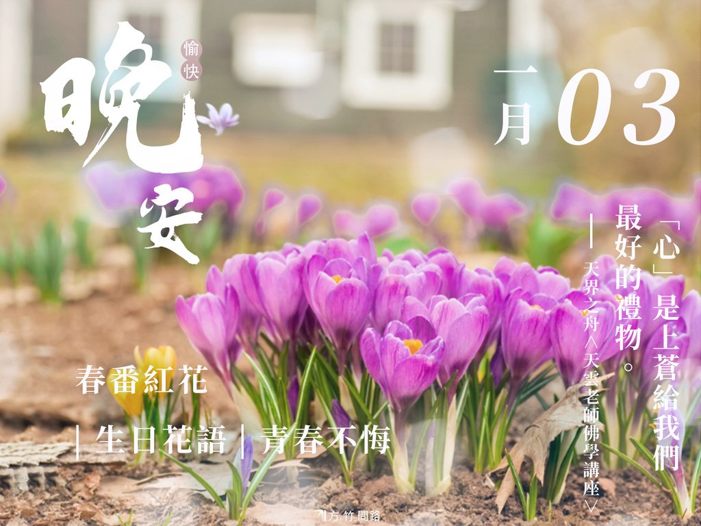 01.03春番紅花（青春不悔）-3生日花語祝福 早 安 圖早安圖長輩圖早安長輩早安問候圖正能量金句桌布good morning 早 安 圖午安圖晚安圖唯美 風景 早 安 圖電腦桌布製作生日祝福語天界之舟金句桌布正能量桌布文青問候圖質感早安圖感人最新早安圖正能量天界之舟地藏道場天界之舟佛法正宗天界之舟行善濟世