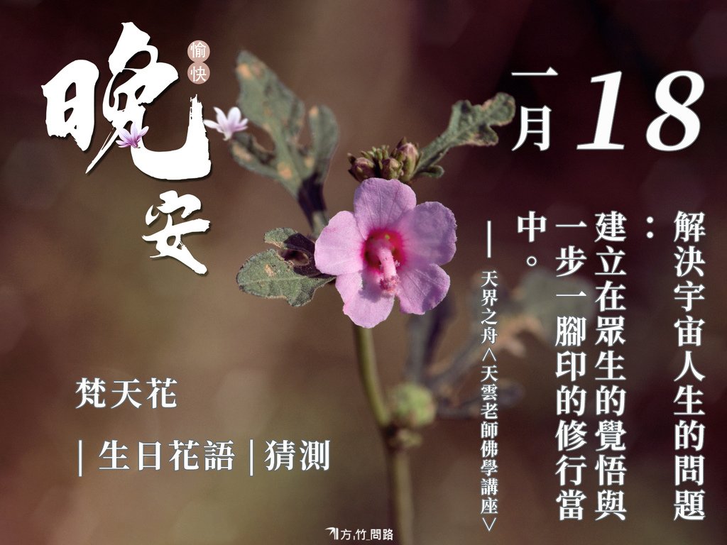 118：梵天花（猜測）-3生日花語good morning 早 安 图長輩圖早安長輩圖午安長輩圖晚安金句名言花語生日祝福語正能量金句桌布感人最新早安圖正能量#天界之舟金句天界之舟地藏道場天界之舟佛法正宗天界之舟行善濟世桌布文青日安問候圖每日一句正能量花語錄桌布