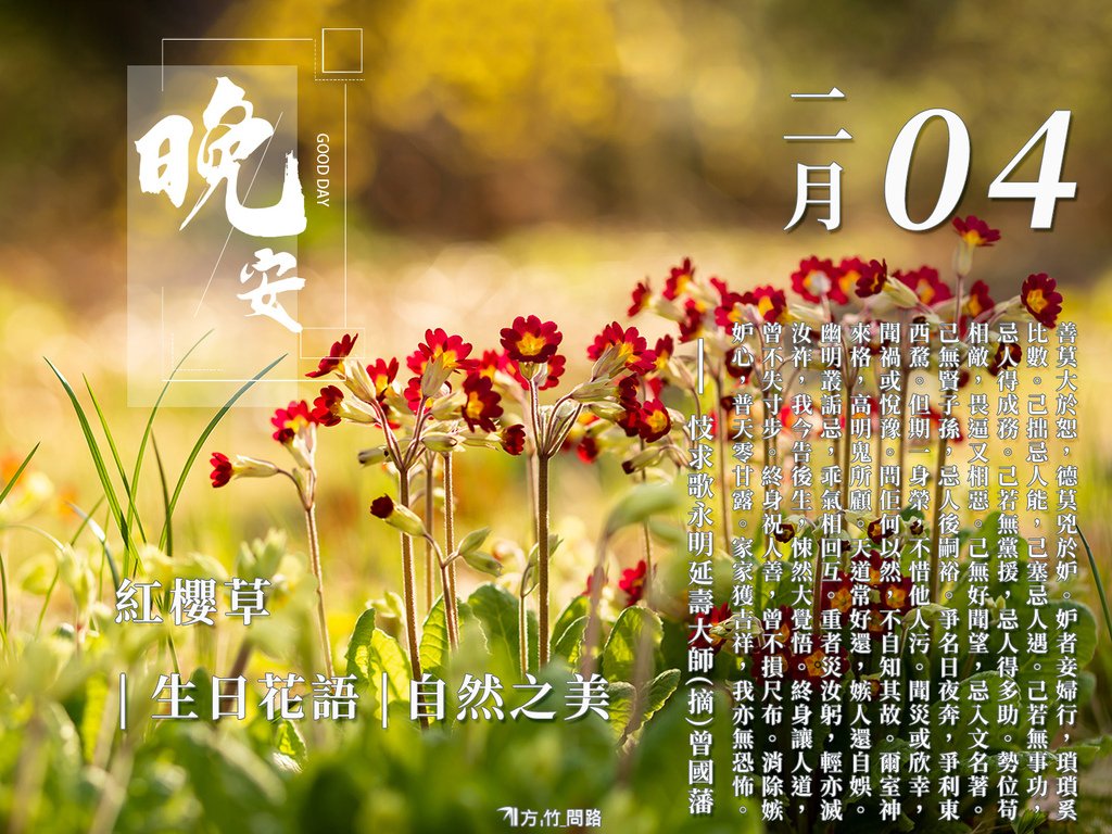 24：紅櫻草（自然之美）-3生日花語感恩金句花語錄早安圖午安圖晚安圖長輩圖問候圖生日祝福語早安長輩圖早安問候圖質感早安圖正能量金句桌布正能量天界之舟金句天界之舟地藏道場天界之舟佛法正宗天界之舟行善濟世名人語錄桌布.jpg