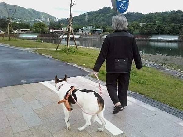 我家咪的故事1：（大病癒後新貓生）（一）暖陽下的喵