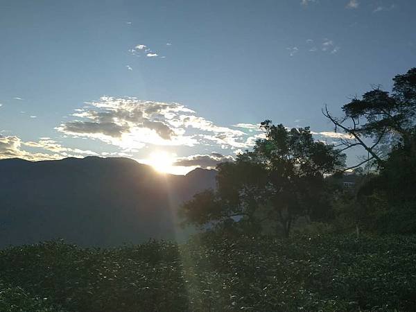 我的74老後第二次外宿獨旅4-2（在阿里山隙頂山中行旅四天三