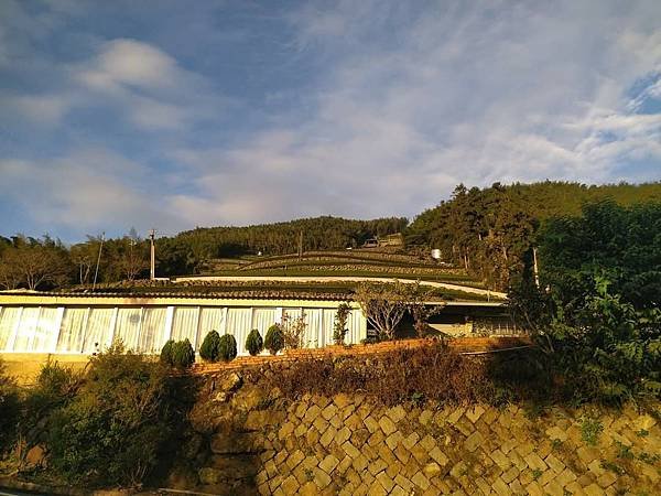 我的74老後第二次外宿獨旅4-2（在阿里山隙頂山中行旅四天三