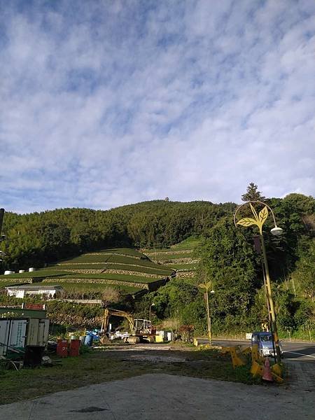 我的74老後第二次外宿獨旅4-2（在阿里山隙頂山中行旅四天三