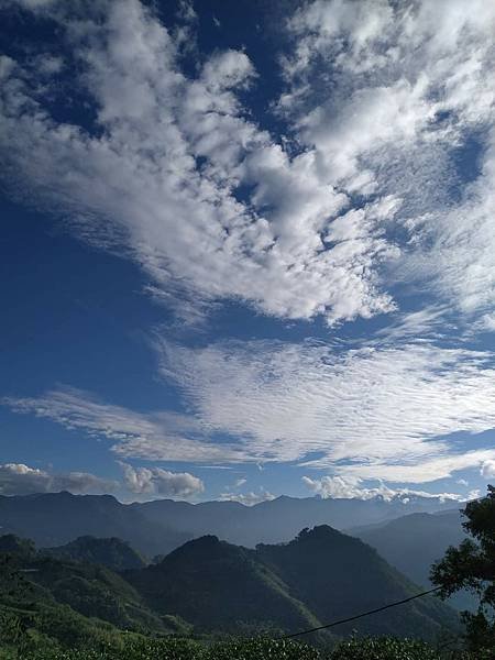 我的74老後第二次外宿獨旅4-2（在阿里山隙頂山中行旅四天三