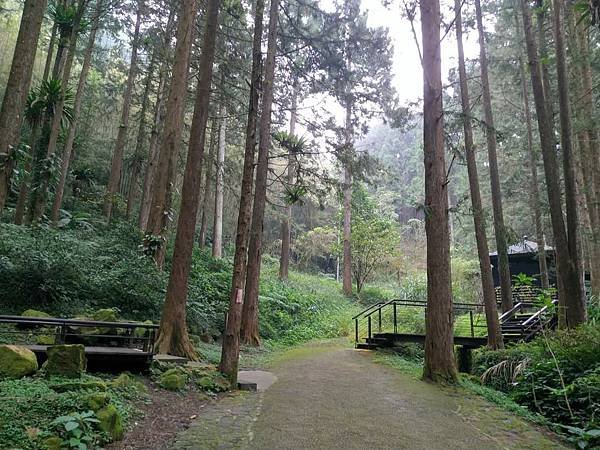 我的74老後第二次外宿獨旅4-2（在阿里山隙頂山中行旅四天三