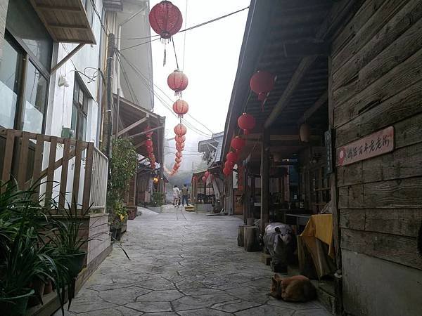 我的74老後第二次外宿獨旅4-2（在阿里山隙頂山中行旅四天三