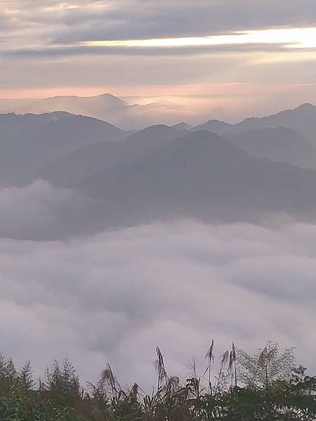 我的74老後第二次外宿獨旅4-2（在阿里山隙頂山中行旅四天三