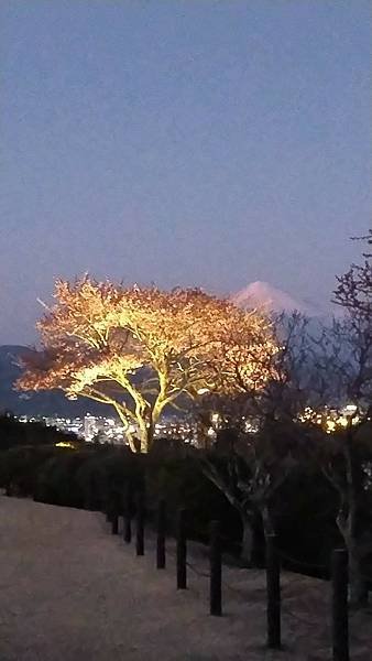 入住日本平飯店賞拍富士山（我的76老後到日本自由行2024/