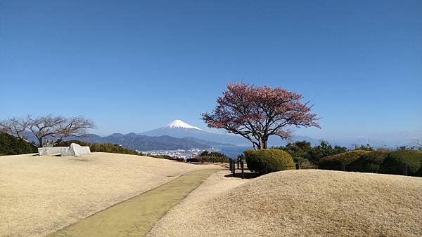 入住日本平飯店賞拍富士山（我的76老後到日本自由行2024/