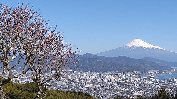 入住日本平飯店賞拍富士山（我的76老後到日本自由行2024/