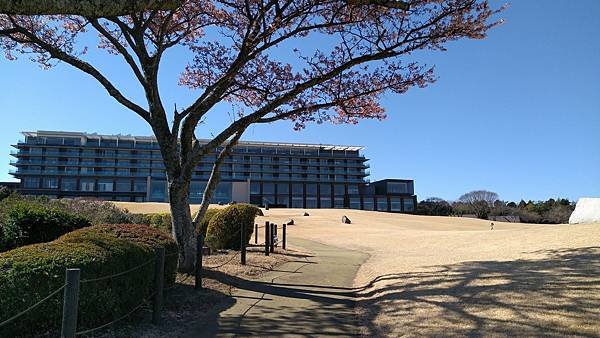入住日本平飯店賞拍富士山（我的76老後到日本自由行2024/