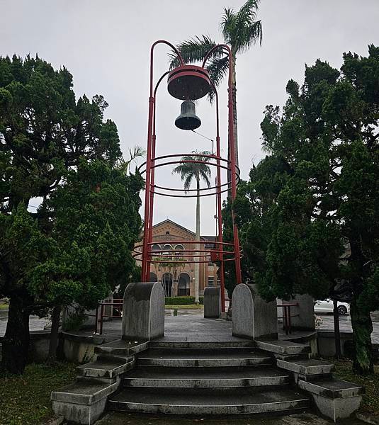 春遊台大校園賞拍杜鵑花和魯冰花[我的77老後日常〕（2025