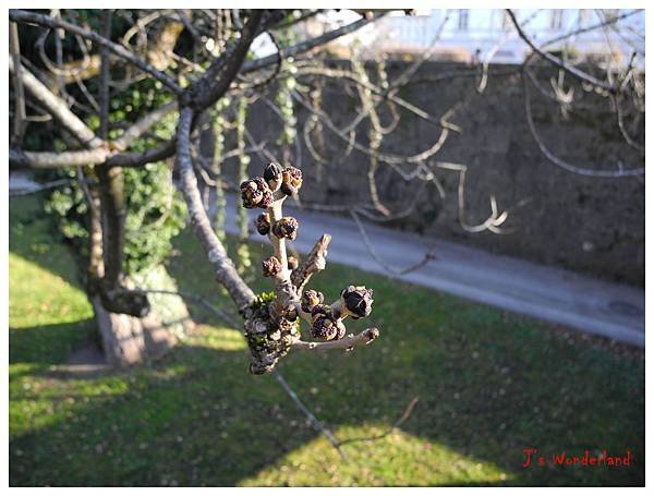 DSCN5471.JPG