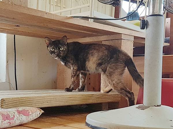 20170701_144018.jpg