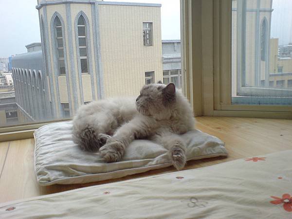 DSC00225.JPG