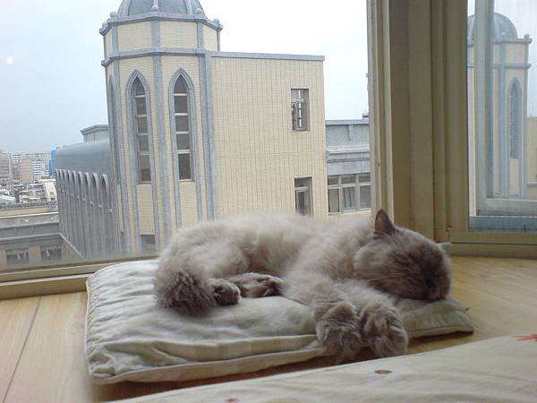 DSC00226.JPG