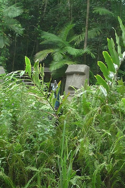 Cairns Jungle Surfing