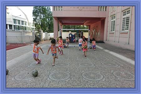 CIMG6530.jpg