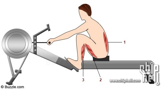 rowing-machine-exercise-step-1.jpg