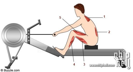 rowing-machine-exercise-step-2.jpg