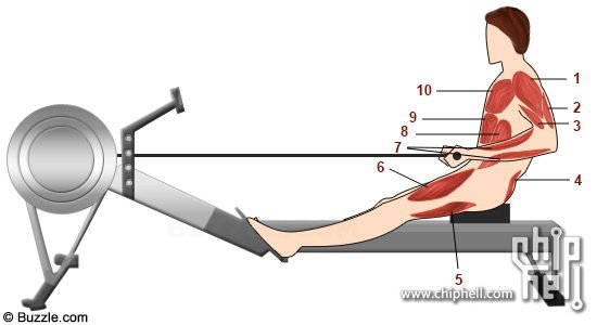 rowing-machine-exercise-step-4.jpg