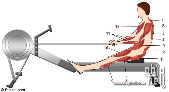 rowing-machine-exercise-step-3.jpg