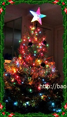 111203 Xmas tree 095