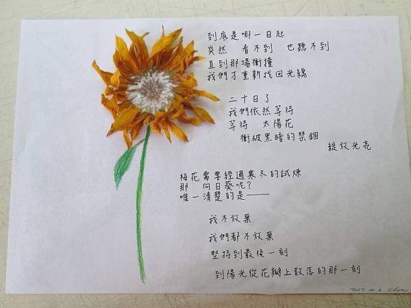 太陽花詩