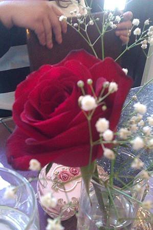 IMAG0676