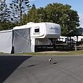 P1110404.JPG