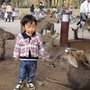 DSC02198.JPG