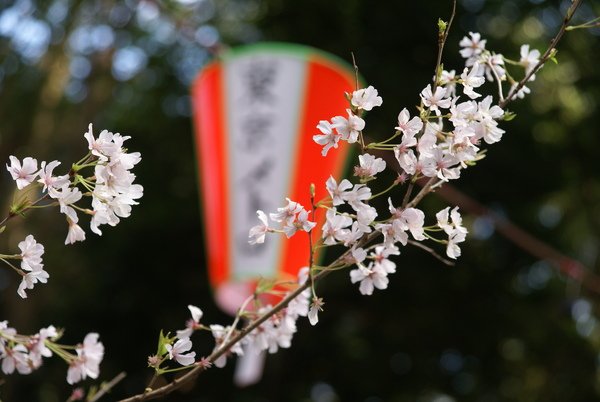 上野公園