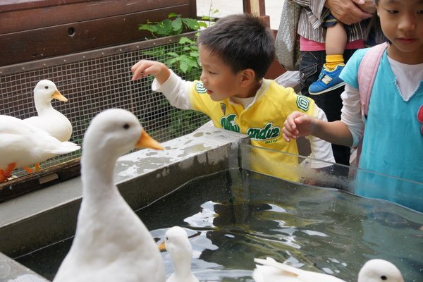 旭山動物園