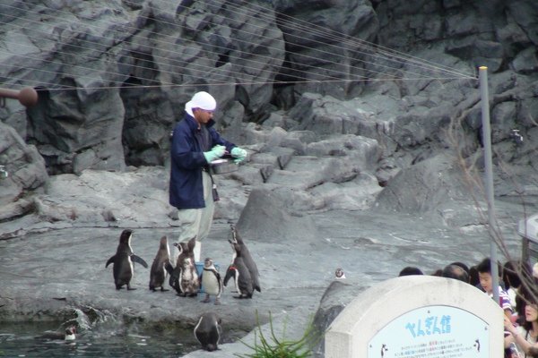 旭山動物園