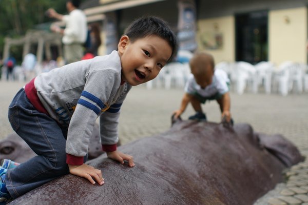 動物園