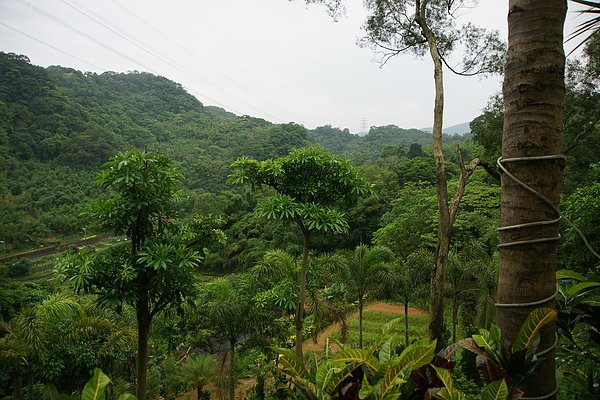 147 高地