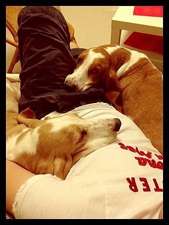 IMG_4940[1]