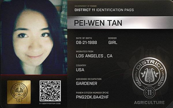 district11_identification_pass