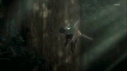 aniesk