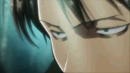 levihairflow
