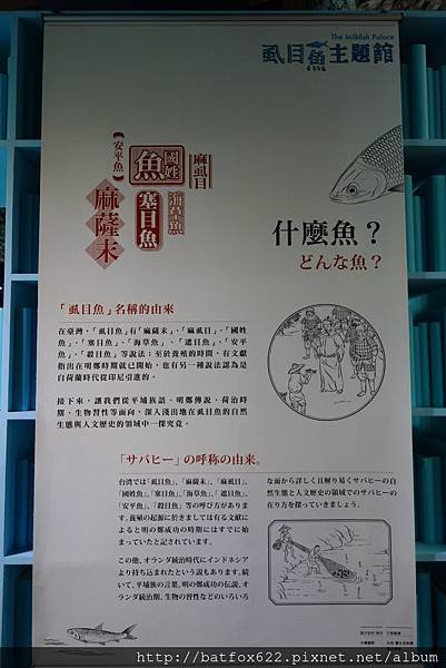 什麼魚?