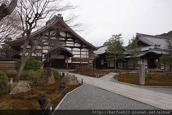 高台寺庭園