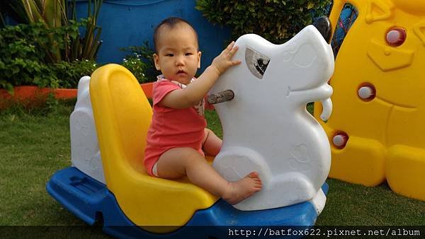 搖搖馬