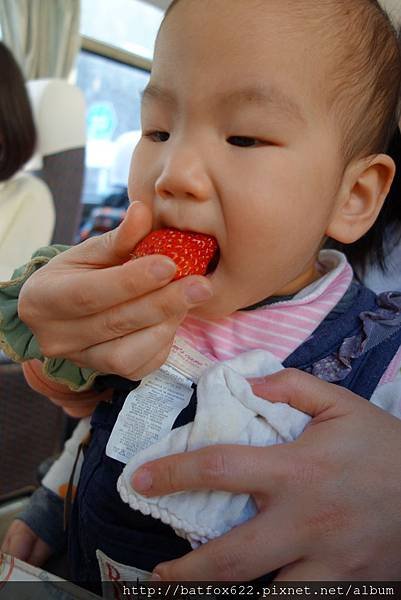 吃草莓