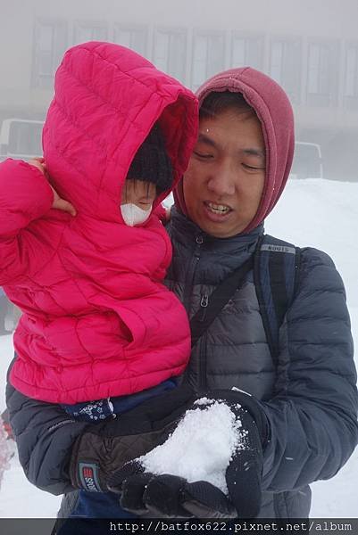 大雪紛飛