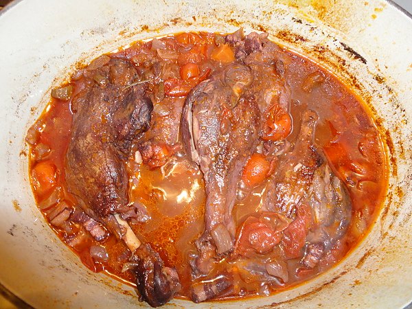 DSC00511.JPG