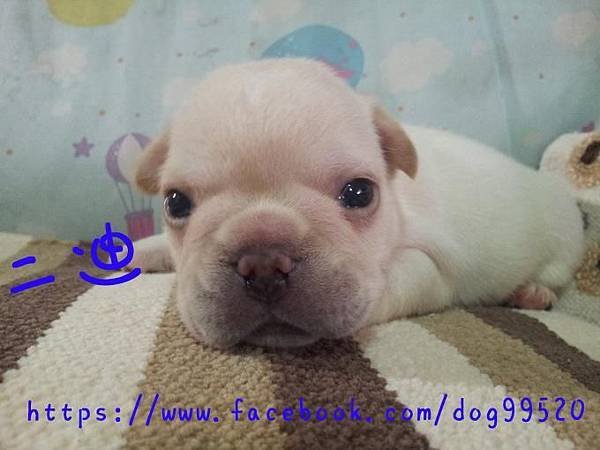 20140418_171012拷貝.jpg